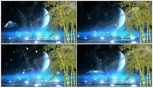 月光爆料最新视频下载安装,揭秘下载安装全攻略 第1张 月光爆料最新视频下载安装,揭秘下载安装全攻略 第1张