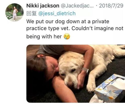 宠物安乐死娱乐吃瓜酱,娱乐吃瓜酱带你揭秘背后真相 第3张 宠物安乐死娱乐吃瓜酱,娱乐吃瓜酱带你揭秘背后真相 第3张